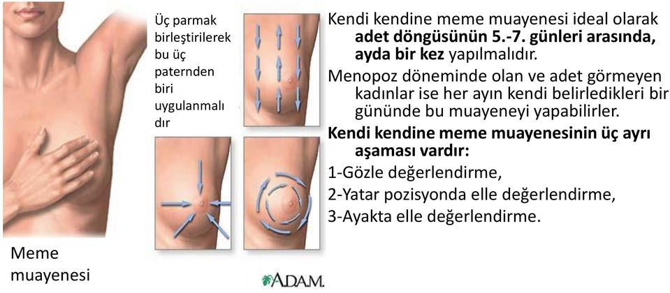 Menopoz döneminde olan ve adet görmeyen kadınlar ise her ayın kendi belirledikleri bir gününde bu muayeneyi