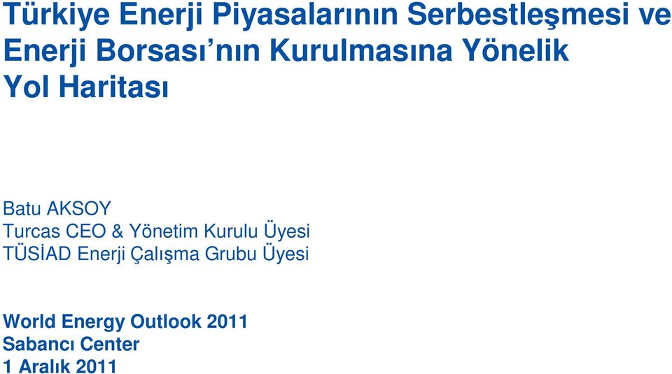 CEO & Yönetim Kurulu Üyesi TÜSİAD Enerji Çalışma Grubu