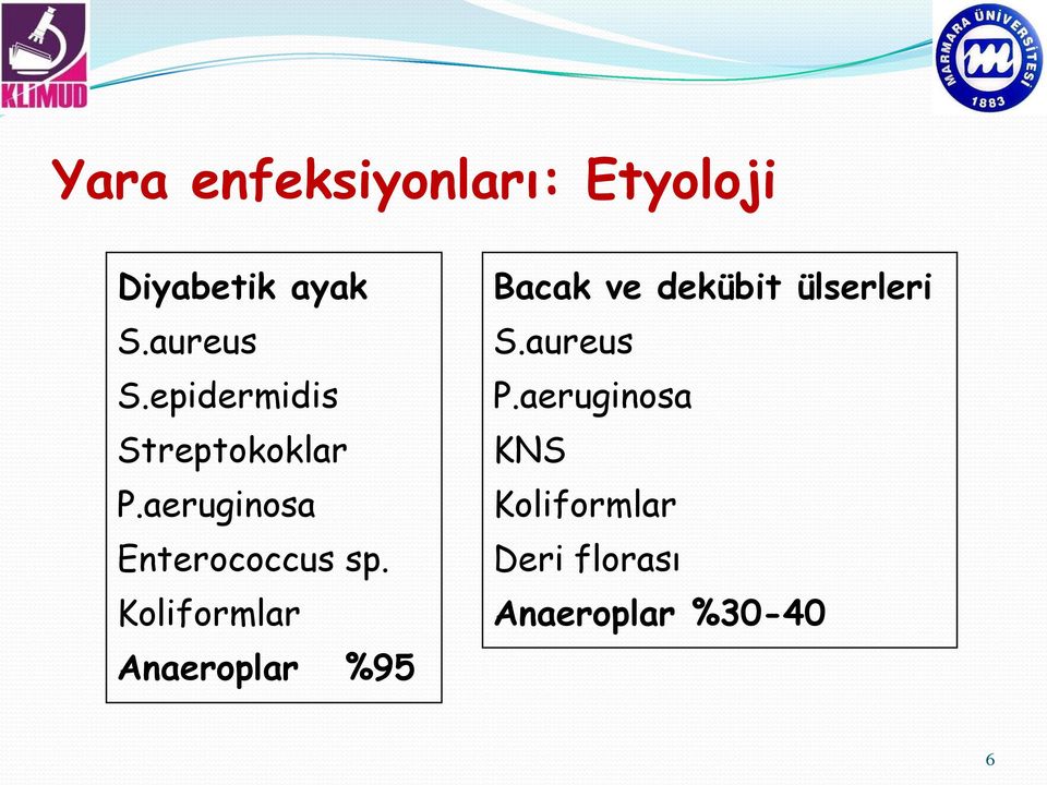 Koliformlar Anaeroplar %95 Bacak ve dekübit ülserleri S.