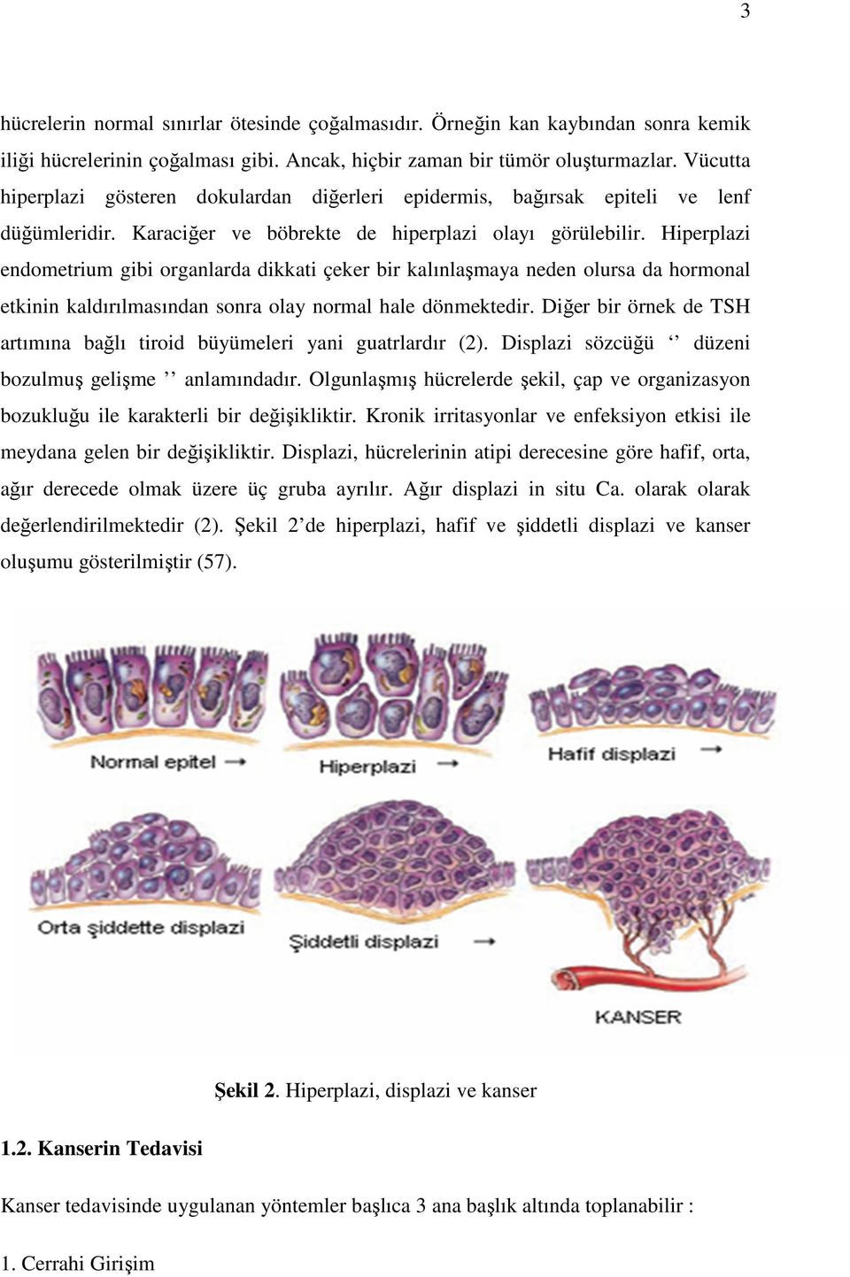 Hiperplazi endometrium gibi organlarda dikkati çeker bir kalınlaşmaya neden olursa da hormonal etkinin kaldırılmasından sonra olay normal hale dönmektedir.