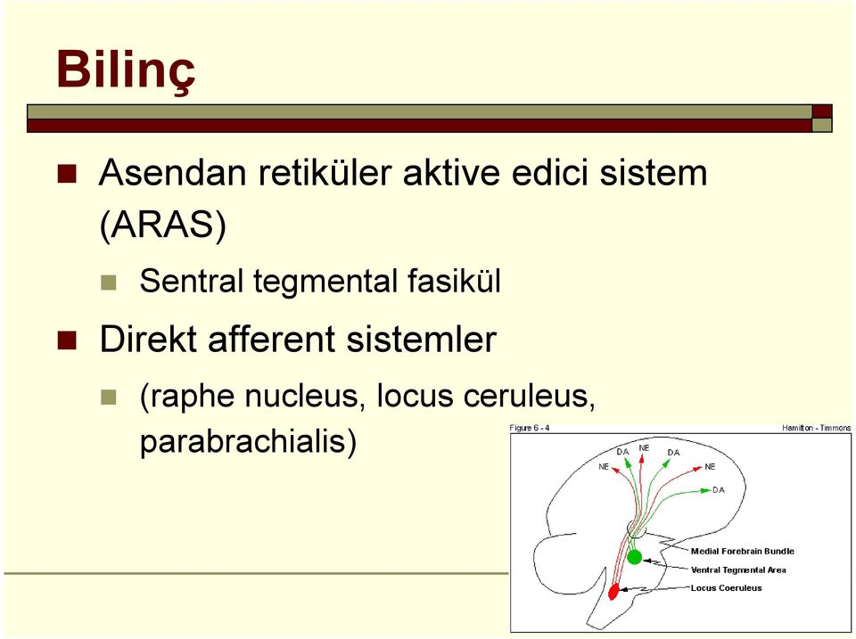 fasikül Direkt afferent sistemler