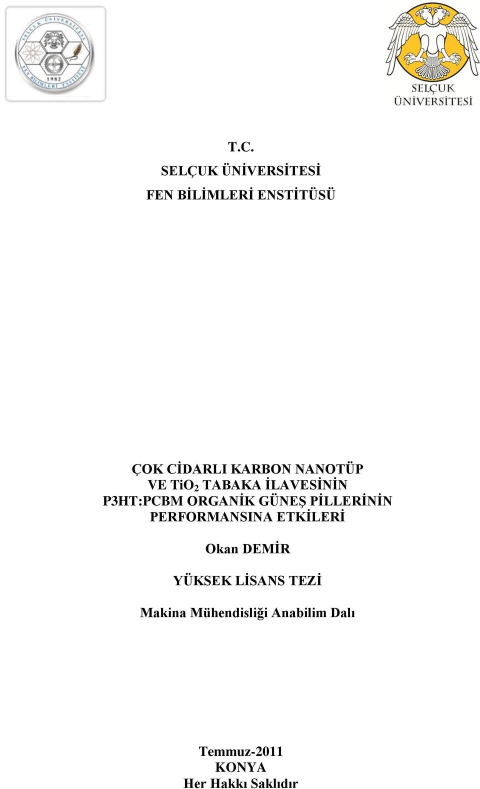 PĠLLERĠNĠN PERFORMANSINA ETKĠLERĠ Okan DEMĠR YÜKSEK LĠSANS TEZĠ