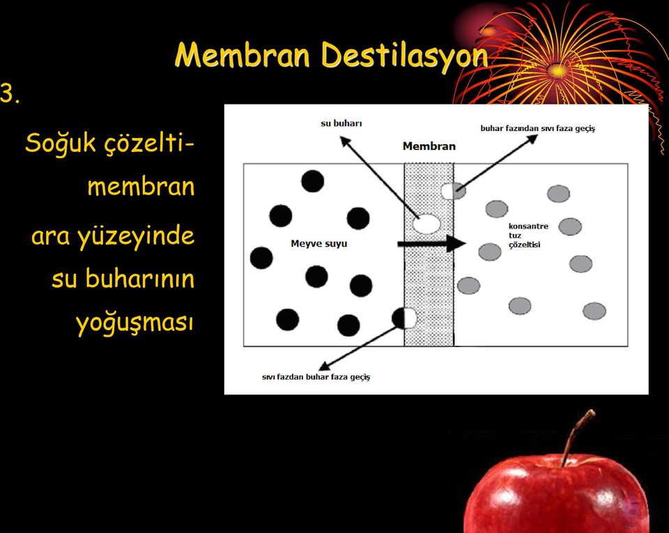 çözeltimembran ara