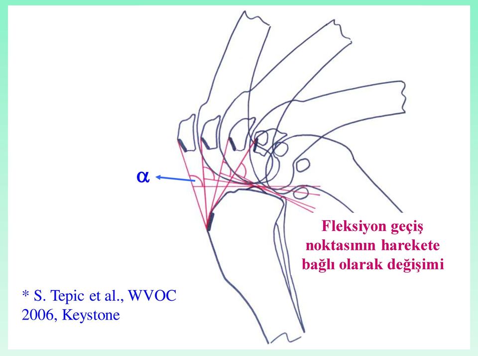 flexion bağlı olarak değişimi * S.