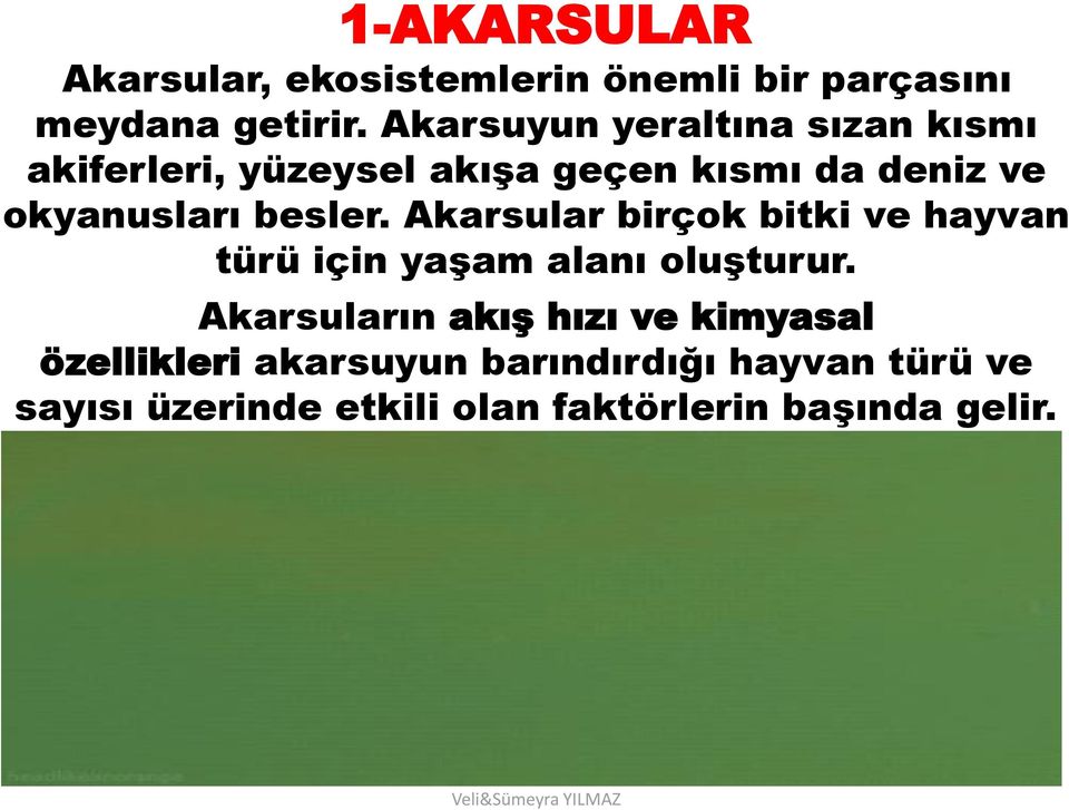 besler. Akarsular birçok bitki ve hayvan türü için yaşam alanı oluşturur.