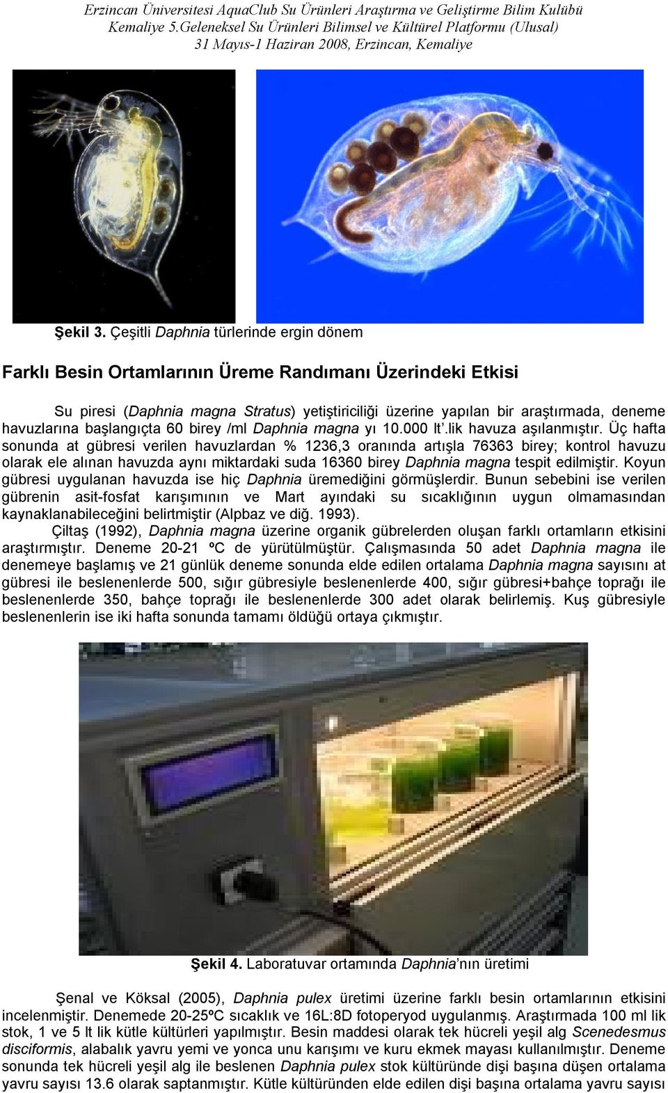 havuzlarına başlangıçta 60 birey /ml Daphnia magna yı 10.000 lt.lik havuza aşılanmıştır.