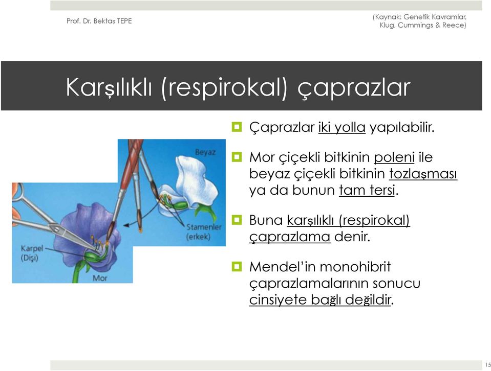 da bunun tam tersi. Buna karşılıklı (respirokal) çaprazlama denir.