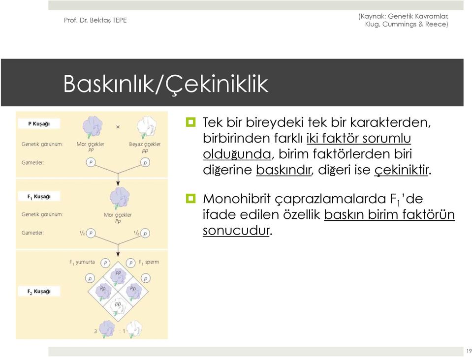 faktörlerden biri diğerine baskındır, diğeri ise çekiniktir.