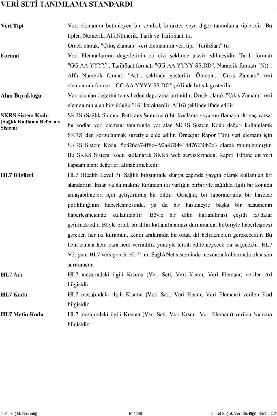 Veri Elemanlarının değerlerinin bir dizi şeklinde tasvir edilmesidir. Tarih formatı "GG.AA.YYYY", TarihSaat formatı "GG.AA.YYYY SS:DD", Nümerik formatı "N()", Alfa Nümerik formatı "A()", şeklinde gösterilir.