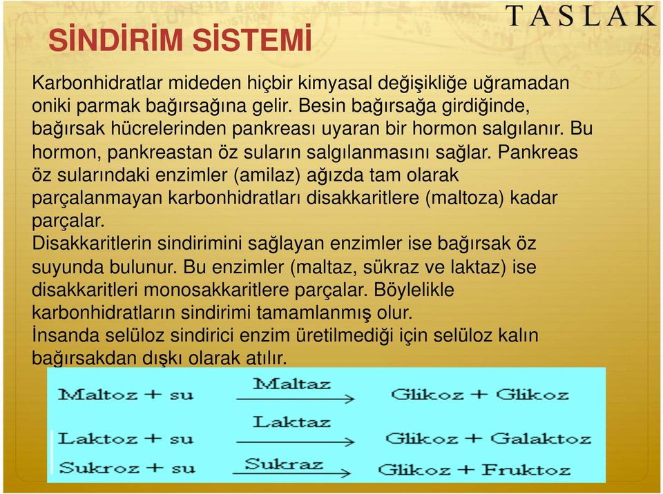 Pankreas öz sularındaki enzimler (amilaz) a ızda tam olarak parçalanmayan karbonhidratları disakkaritlere (maltoza) kadar parçalar.