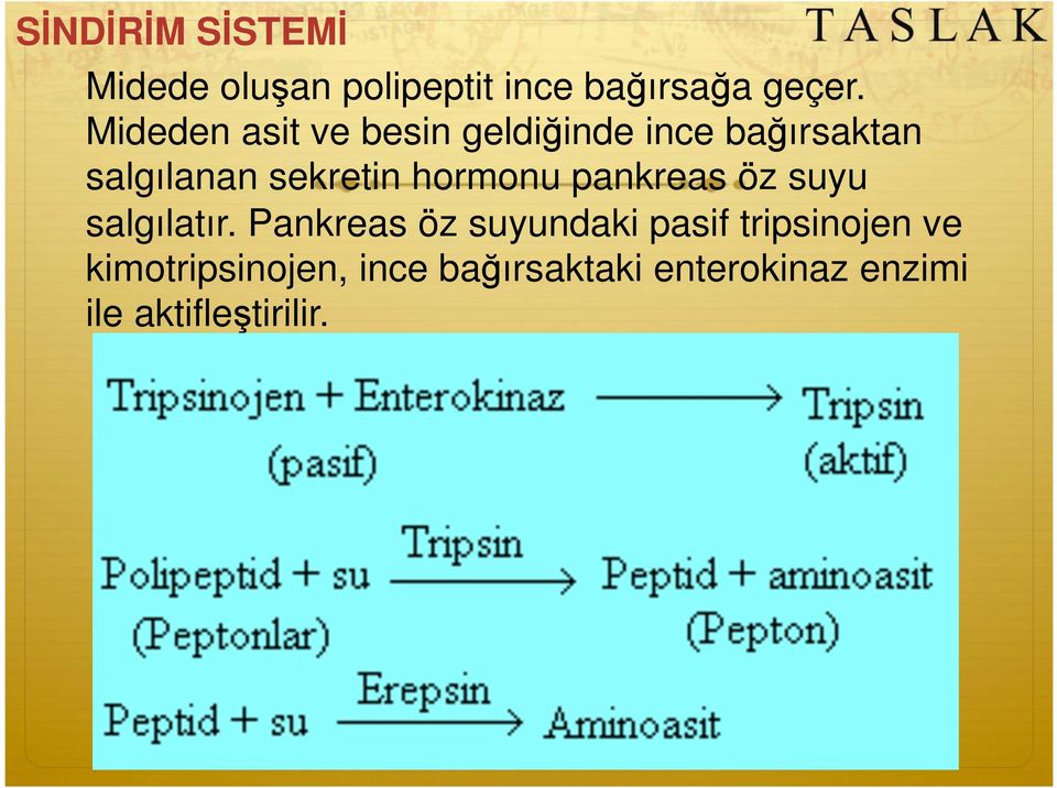 sekretin hormonu pankreas öz suyu salgılatır.