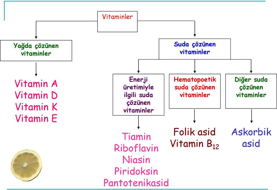 vitaminler Hematopoetik suda çözünen vitaminler Tiamin Folik asid