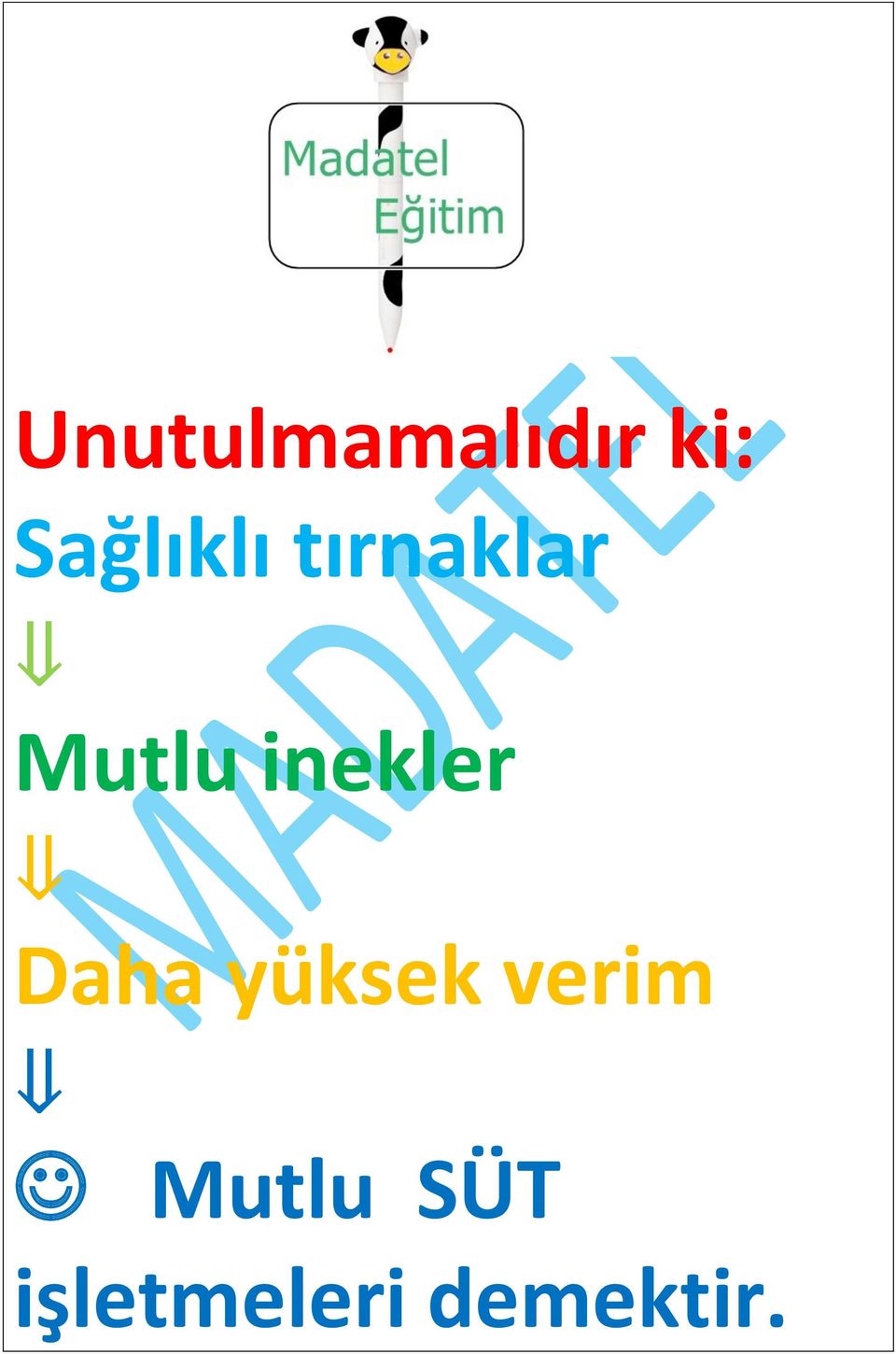 inekler Daha yüksek verim