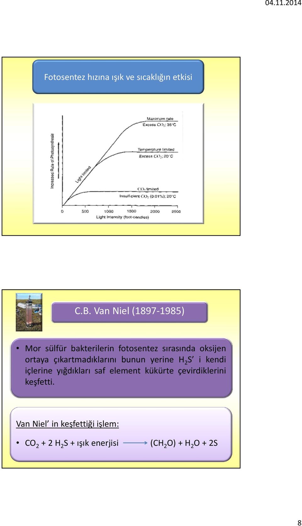 çıkartmadıklarını bunun yerine H 2 S i kendi içlerine yığdıkları saf element