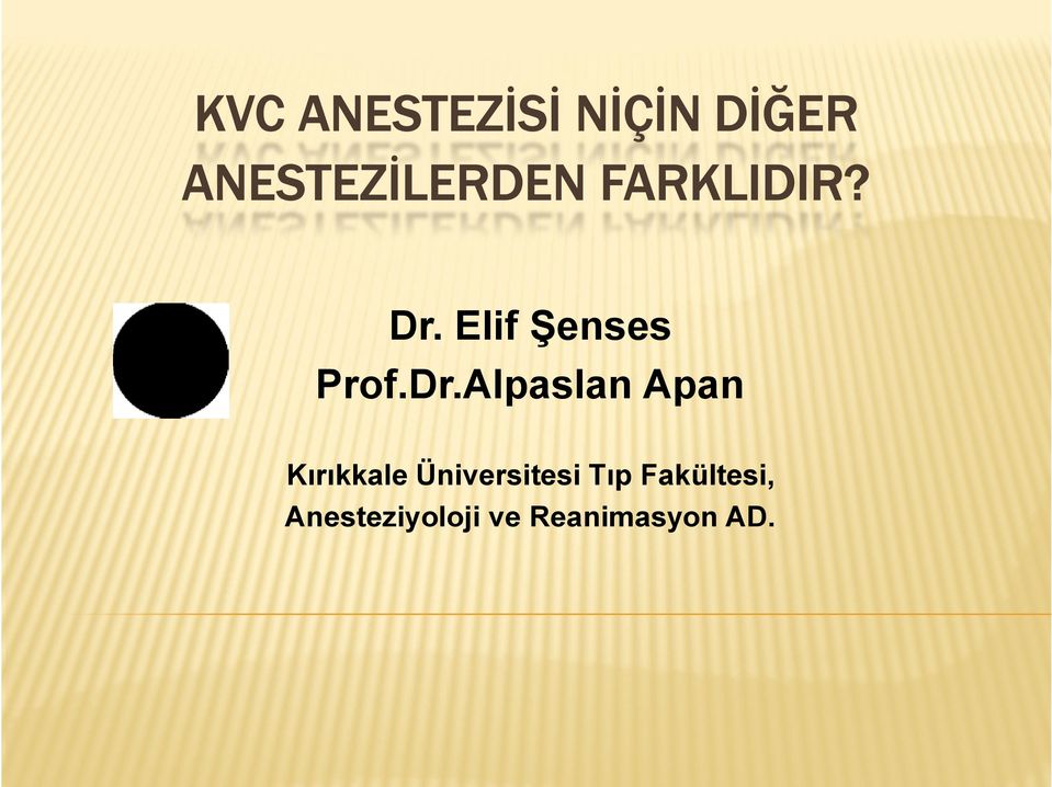 Elif Şenses Prof.Dr.