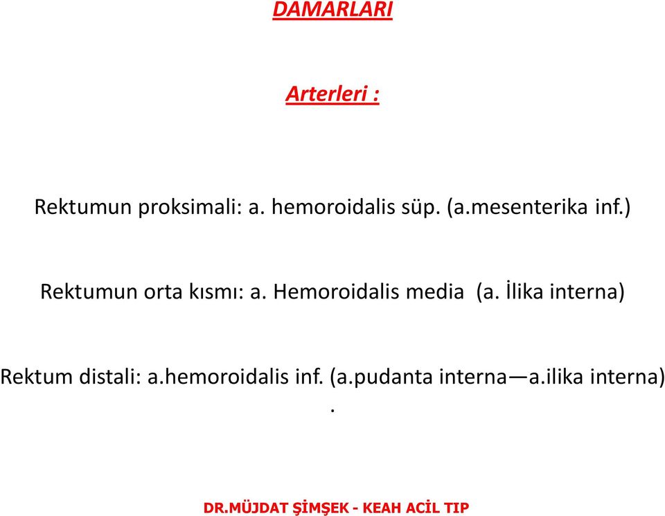 ) Rektumun orta kısmı: a. Hemoroidalis media (a.