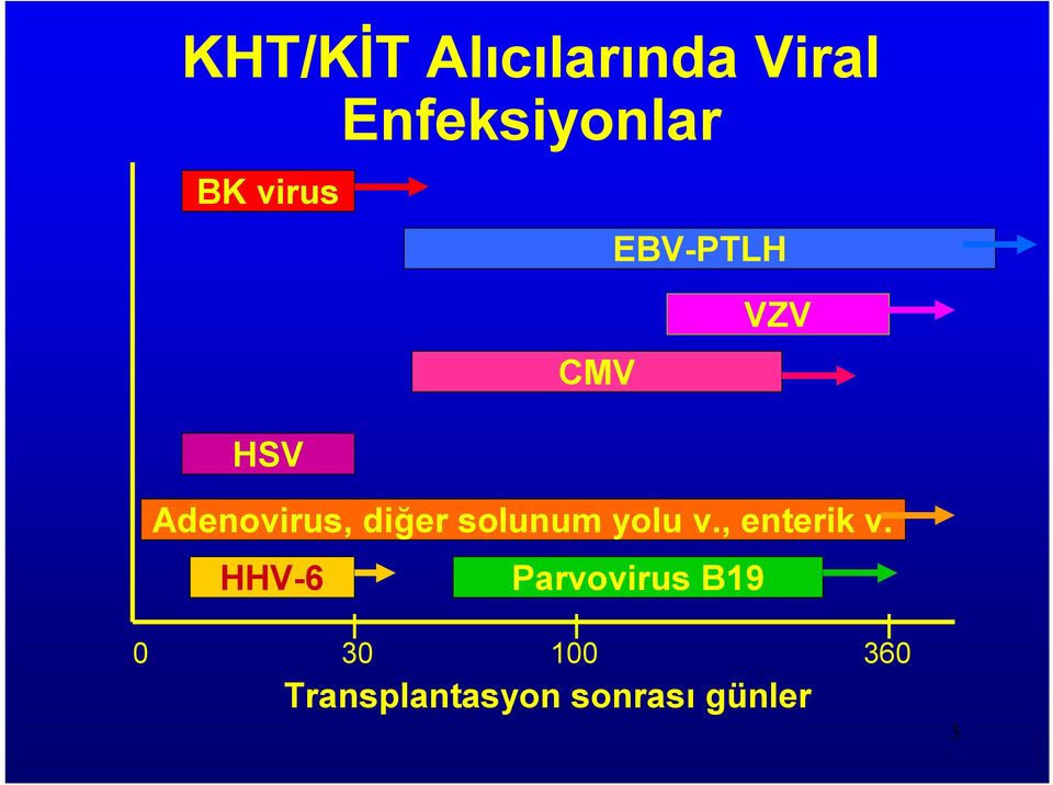 solunum yolu v., enterik v.