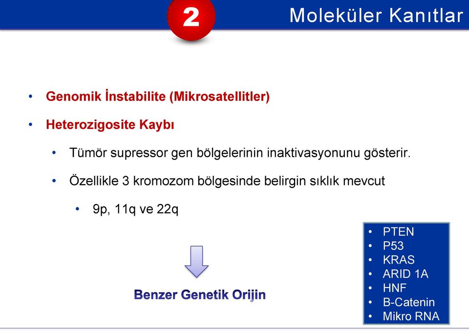 inaktivasyonunu gösterir.