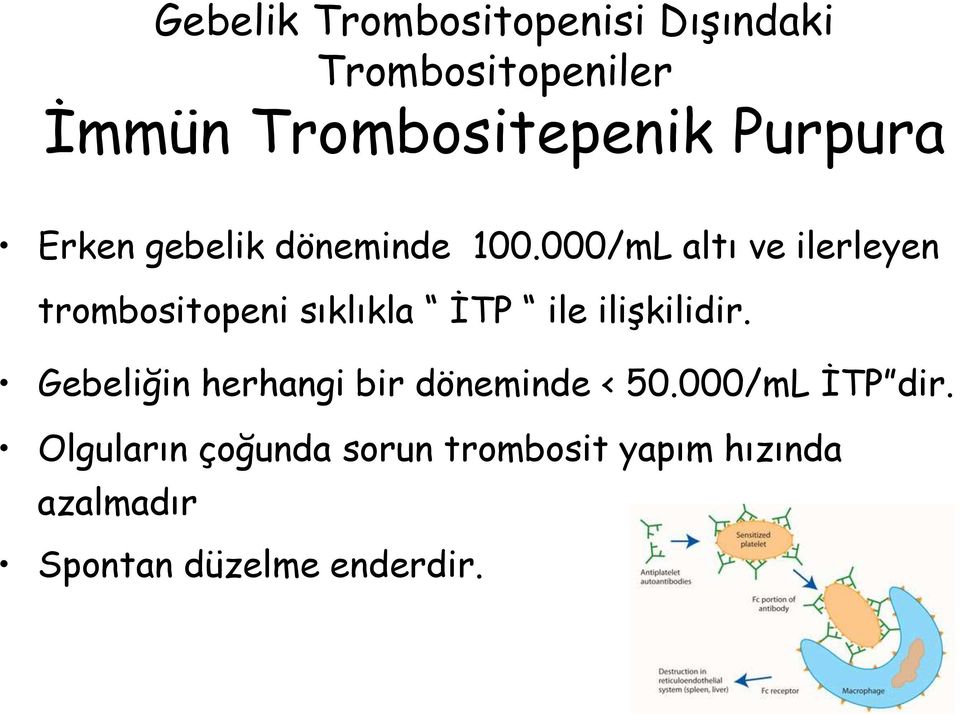 000/mL altı ve ilerleyen trombositopeni sıklıkla İTP ile ilişkilidir.