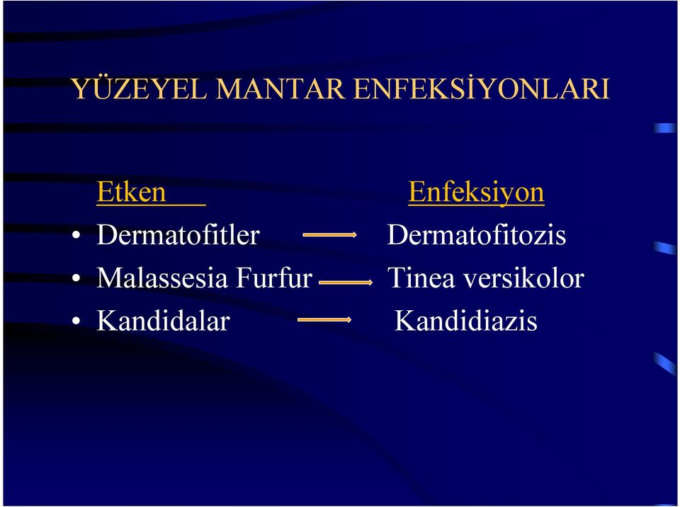 Dermatofitozis Malassesia Furfur