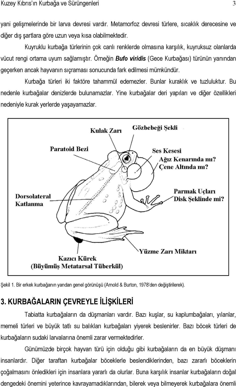 Örneğin Bufo viridis (Gece Kurbağası) türünün yanından geçerken ancak hayvanın sıçraması sonucunda fark edilmesi mümkündür. Kurbağa türleri iki faktöre tahammül edemezler.