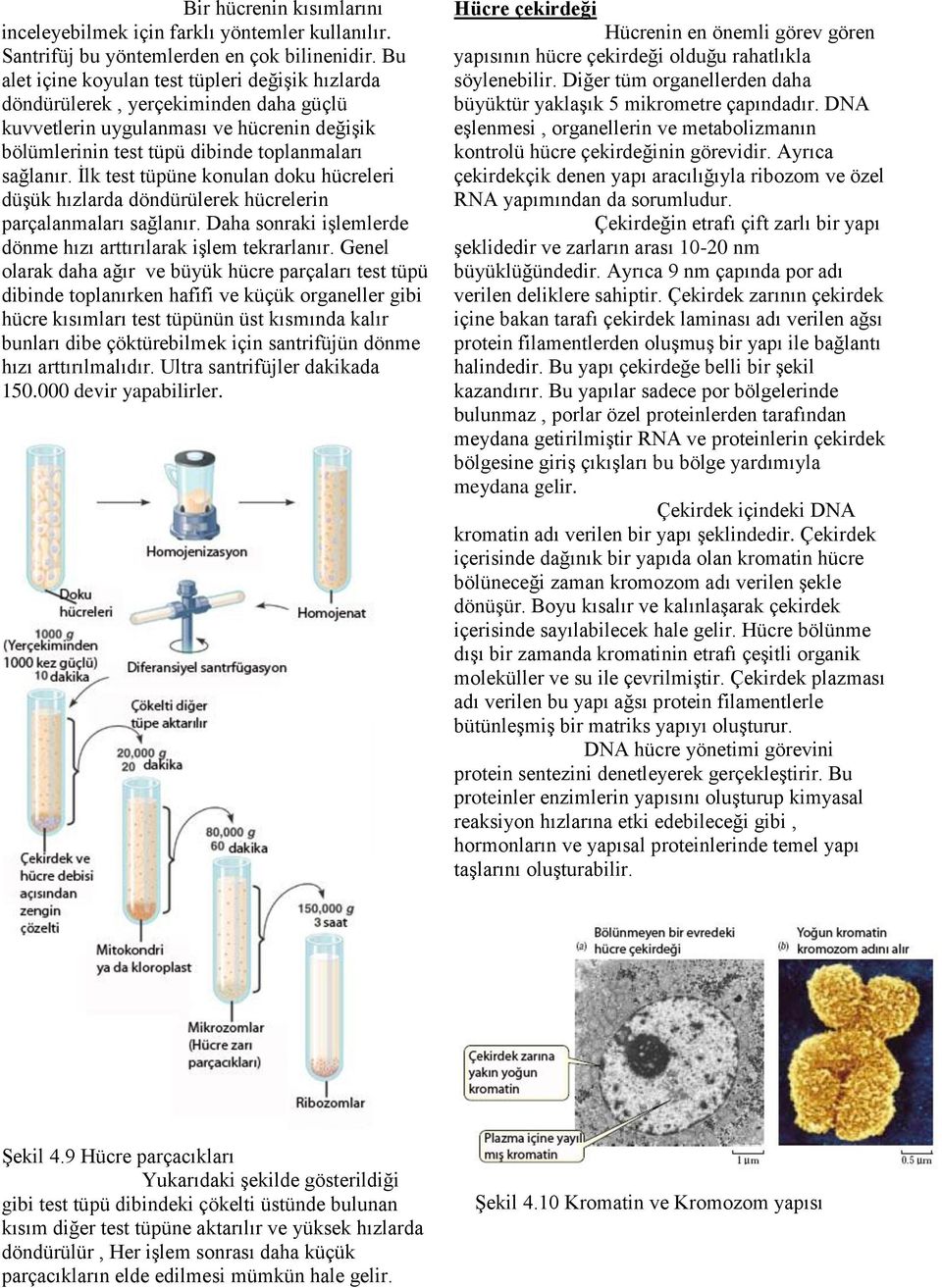 İlk test tüpüne konulan doku hücreleri düşük hızlarda döndürülerek hücrelerin parçalanmaları sağlanır. Daha sonraki işlemlerde dönme hızı arttırılarak işlem tekrarlanır.