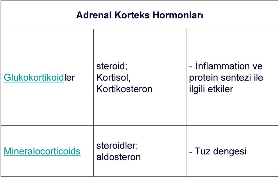 İnflammation ve protein sentezi ile ilgili