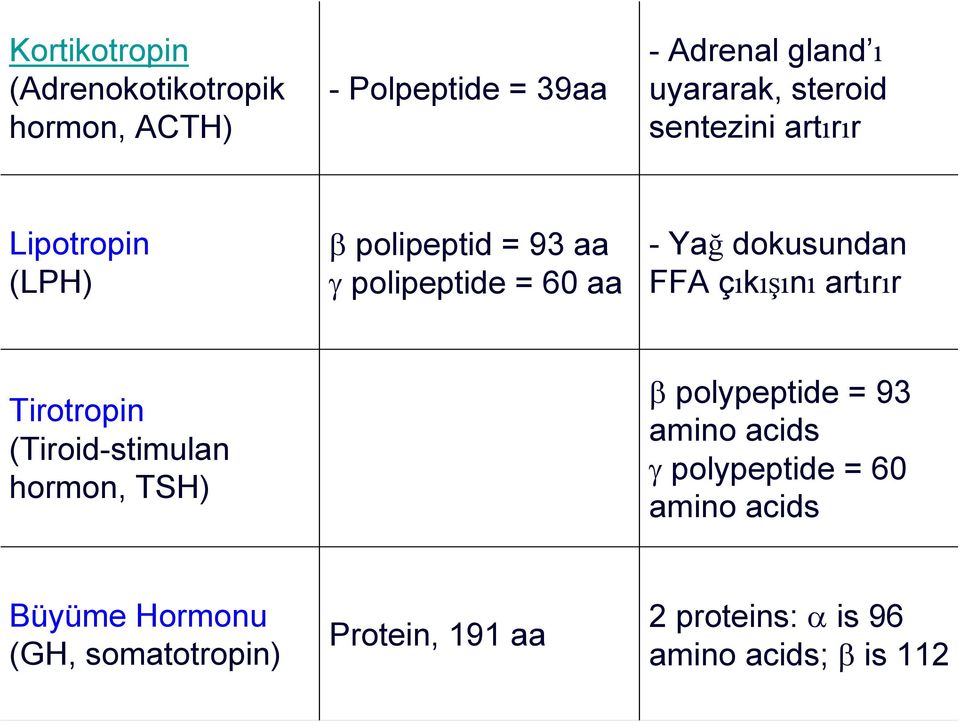 çıkışını artırır Tirotropin (Tiroid-stimulan hormon, TSH) β polypeptide = 93 amino acids γ polypeptide