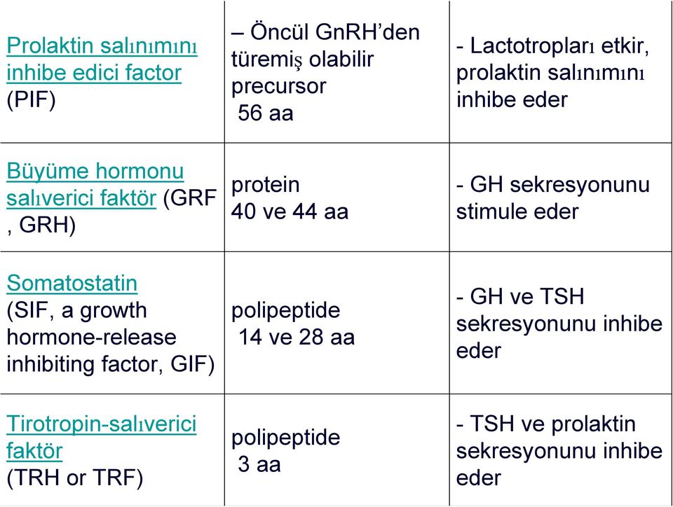 stimule eder Somatostatin (SIF, a growth hormone-release inhibiting factor, GIF) polipeptide 14 ve 28 aa - GH ve TSH