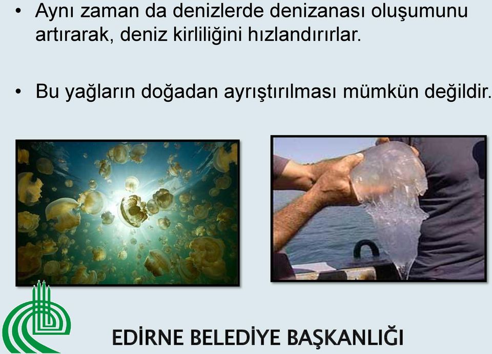 kirliliğini hızlandırırlar.