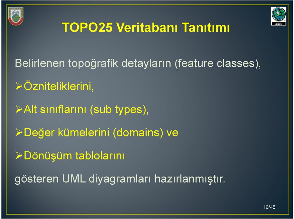 sınıflarını (sub types), Değer kümelerini (domains) ve