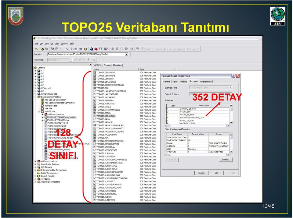 Tanıtımı 352