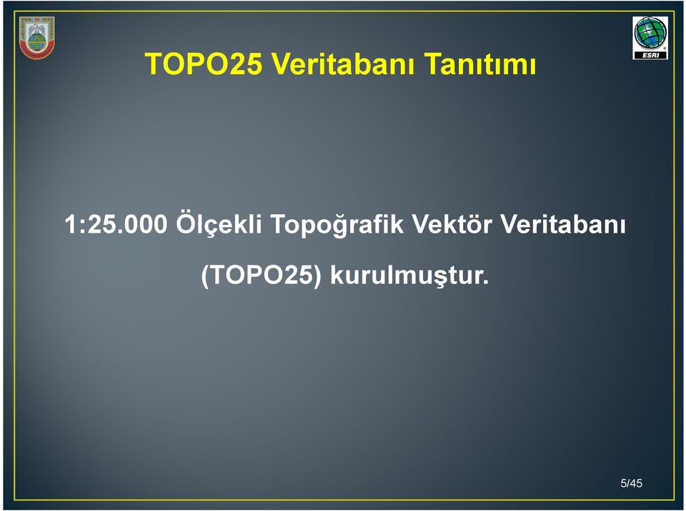 000 Ölçekli Topoğrafik