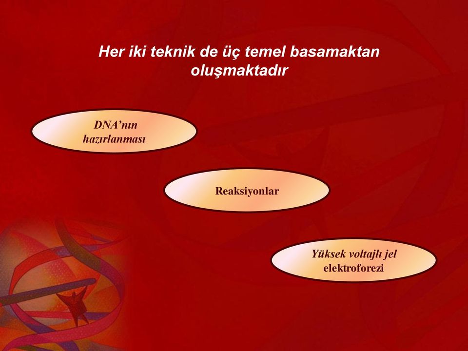 nın hazırlanması Reaksiyonlar