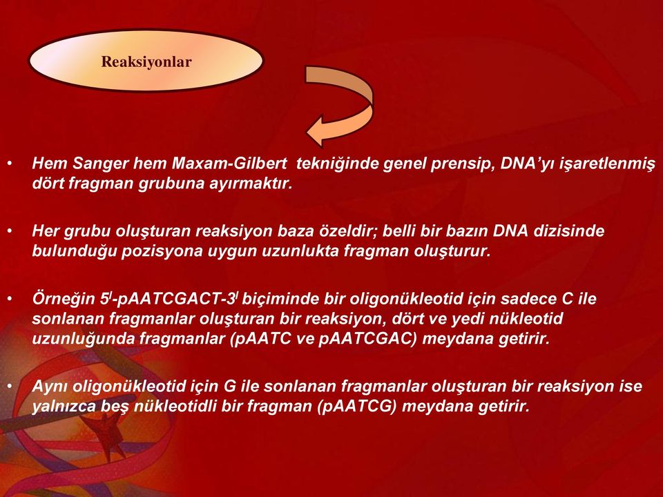 Örneğin 5 I -paatcgact-3 I biçiminde bir oligonükleotid için sadece C ile sonlanan fragmanlar oluşturan bir reaksiyon, dört ve yedi nükleotid