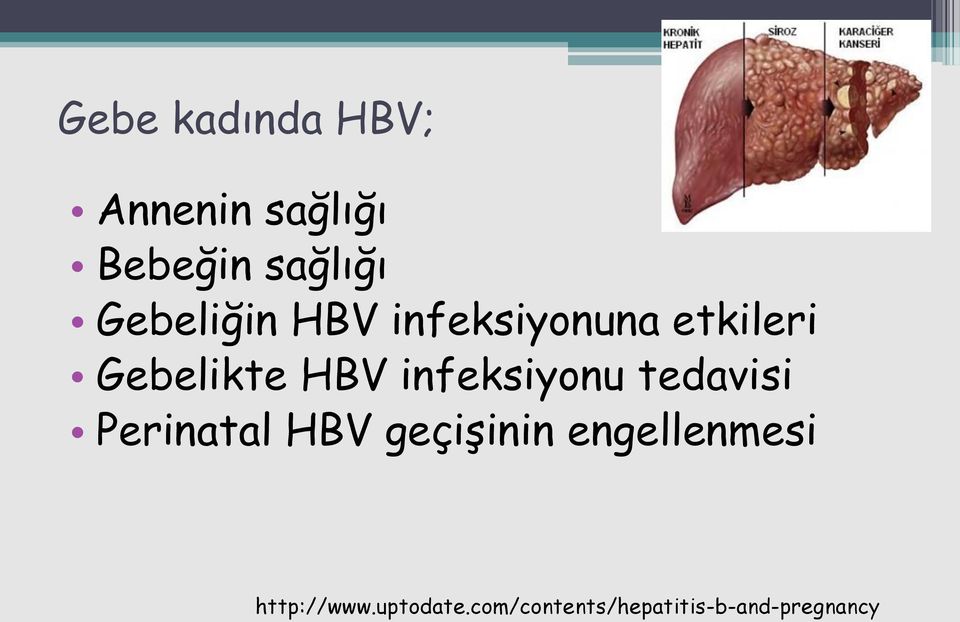 infeksiyonu tedavisi Perinatal HBV geçişinin