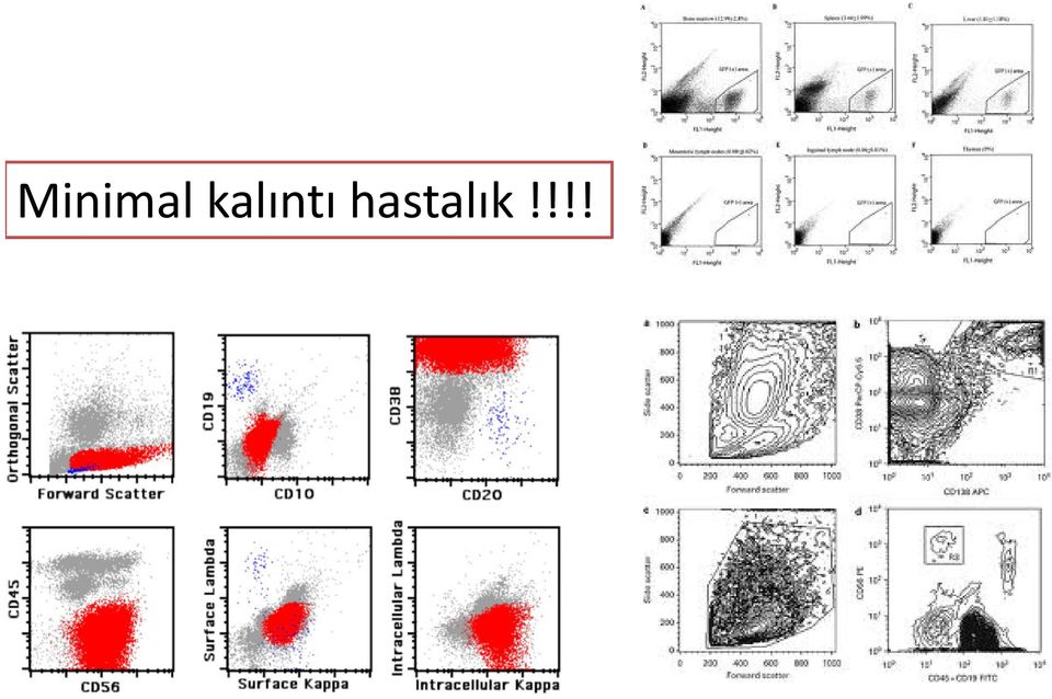 hastalık!