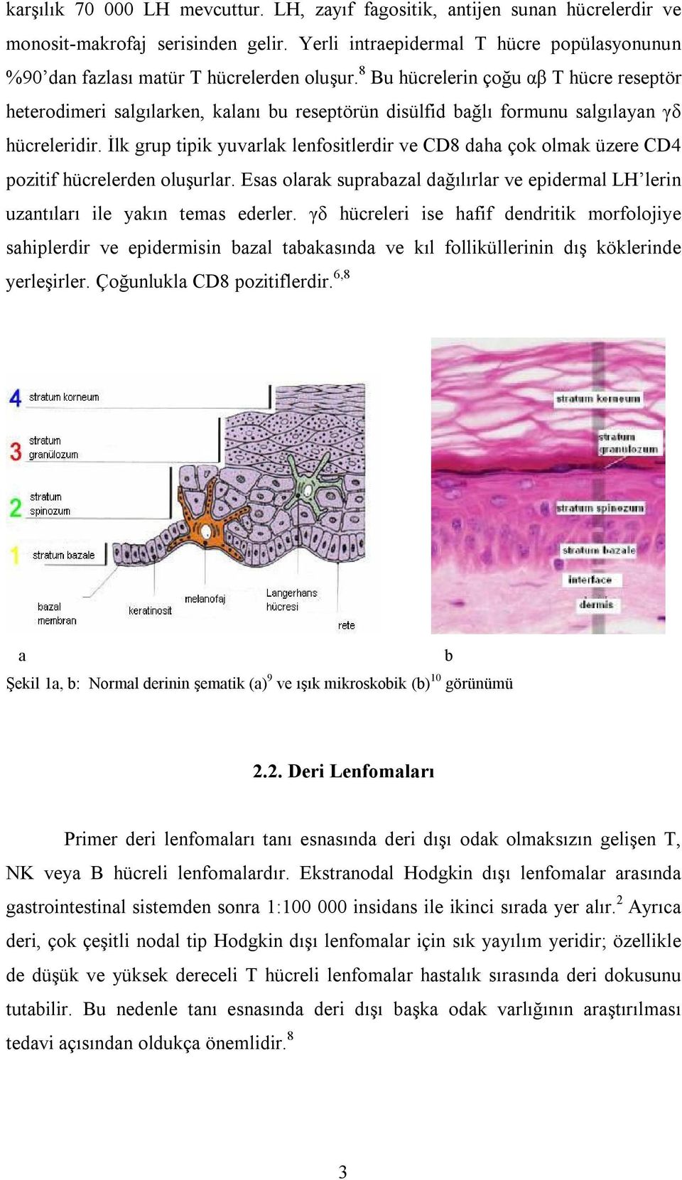 8 Bu hücrelerin çoğu αβ T hücre reseptör heterodimeri salgılarken, kalanı bu reseptörün disülfid bağlı formunu salgılayan γδ hücreleridir.