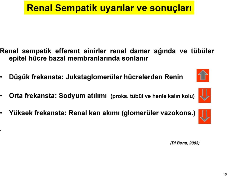 Jukstaglomerüler hücrelerden Renin Orta frekansta: Sodyum atılımı (proks.