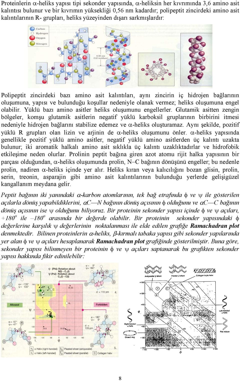 nedeniyle olanak vermez; heliks oluşumuna engel olabilir. Yüklü bazı amino asitler heliks oluşumunu engellerler.