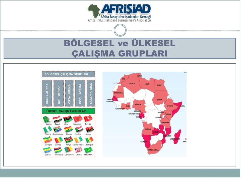 ÜLKESEL ÇALIŞMA GRUPLARI BÖLGESEL