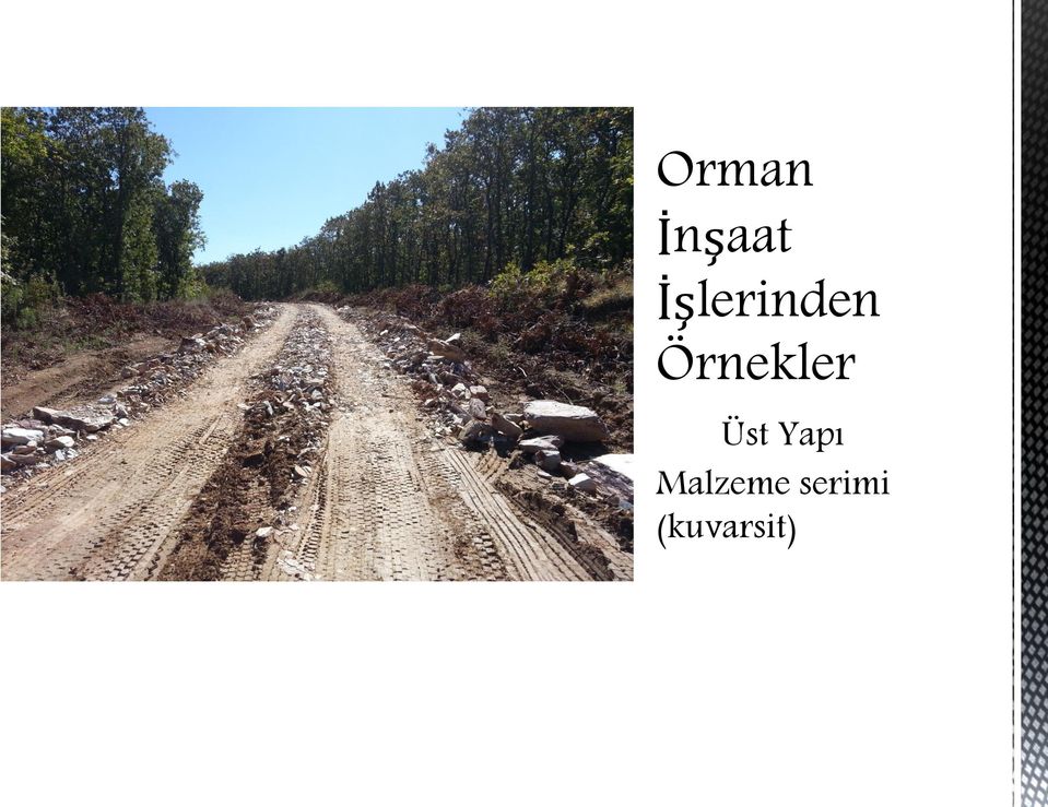 Örnekler Üst