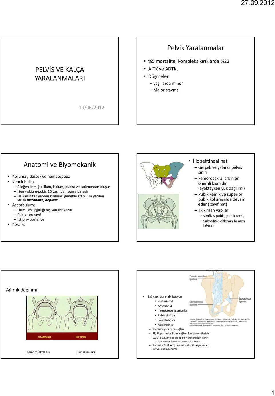 instabilite, deplase Asetabulum; İlium asıl ağırlığı taşıyan üst kenar Pubis en zayıf İskion posterior Koksiks İliopektineal hat Gerçek ve yalancı pelvis sınırı Femorosakral arkın en önemli kısmıdır