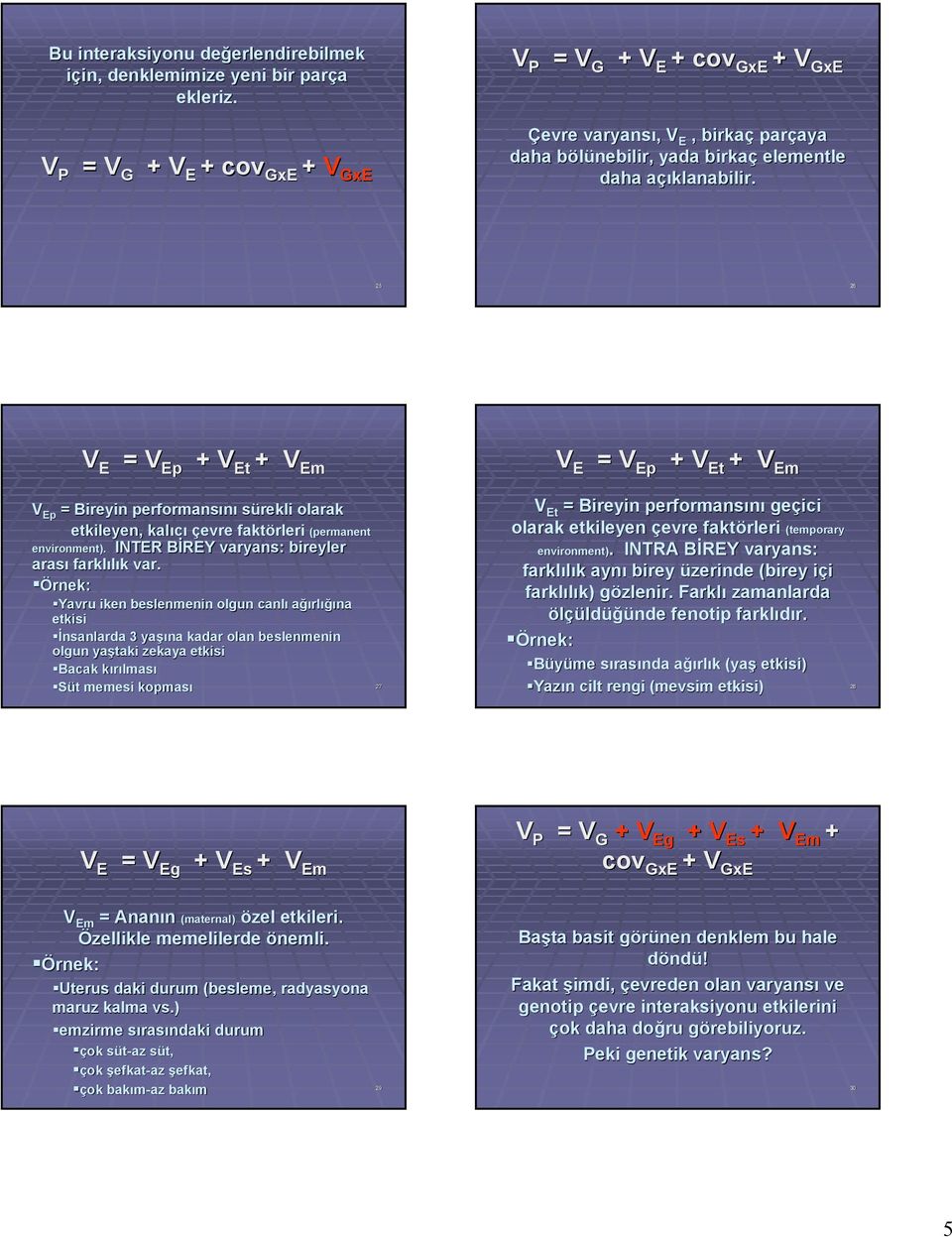 25 26 V E = V Ep + V Et + V Em V E = V Ep + V Et + V Em V Ep = Bireyin performansını sürekli olarak etkileyen, kalıcı çevre faktörleri (permanent environment).