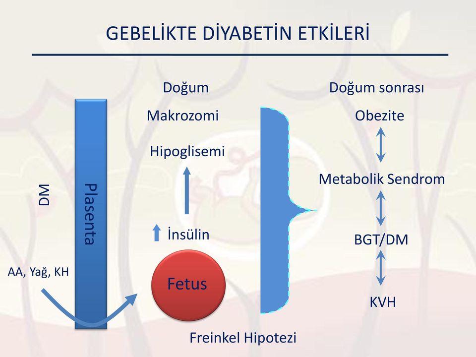 Hipoglisemi Plasenta İnsülin Metabolik