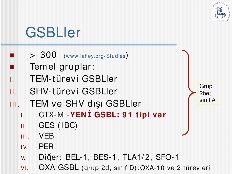 TEM ve SHV dışı GSBLler Grup 2be; sınıf A I.