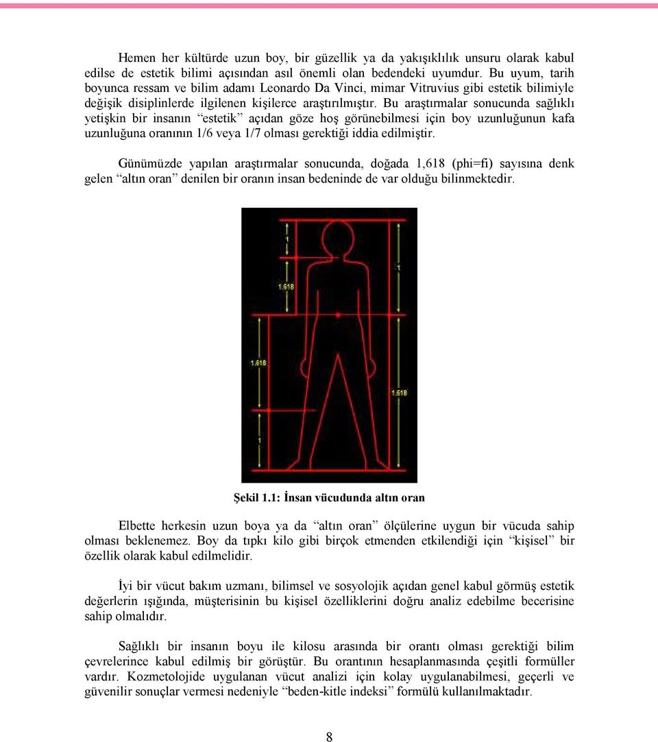 Bu araştırmalar sonucunda sağlıklı yetişkin bir insanın estetik açıdan göze hoş görünebilmesi için boy uzunluğunun kafa uzunluğuna oranının 1/6 veya 1/7 olması gerektiği iddia edilmiştir.