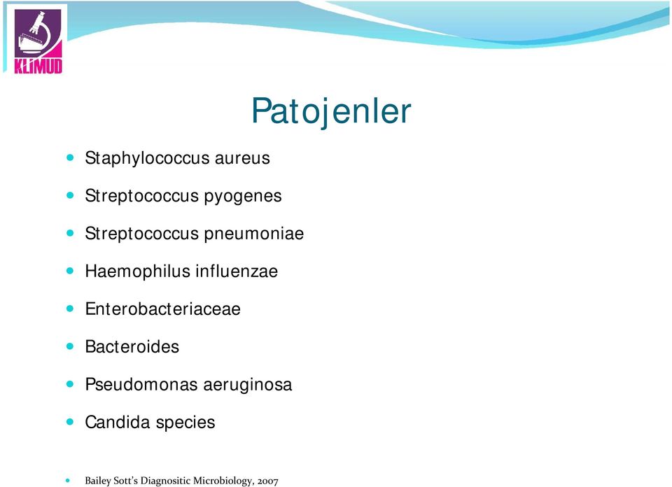Enterobacteriaceae Bacteroides Pseudomonas aeruginosa
