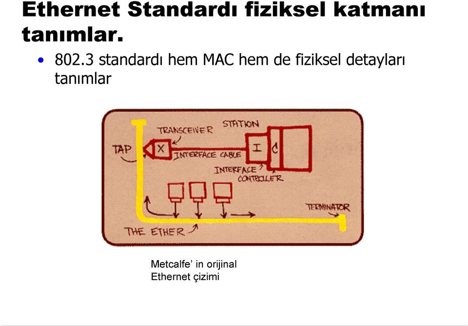 3 standardı hem MAC hem de fiziksel