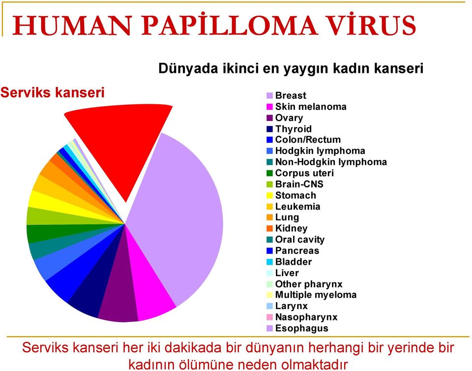 Kidney Oral cavity Pancreas Bladder Liver Other pharynx Multiple myeloma Larynx Nasopharynx Esophagus